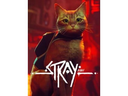 stray cover