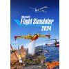 microsoft flight simulator 2024 1 1 1