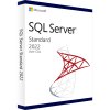 Microsoft SQL Server 2022 Remote Desktop Services (25 User CAL)
