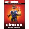 Roblox Card - 7000 Robux