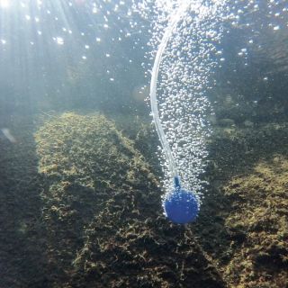 🌿🌞 Nový článek na našem e-shopu! Zlepšete životní prostředí vašeho jezírka na zahradě s našimi solárními provzdušňovacími...