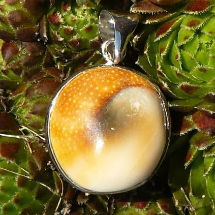 Přívěsek-Perleť Shivovo oko II