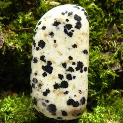 Přívěsek-Jaspis dalmatin