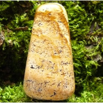 Přívěsek-Jaspis obrázkový