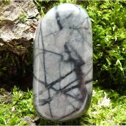 Přívěsek-Jaspis pisaco