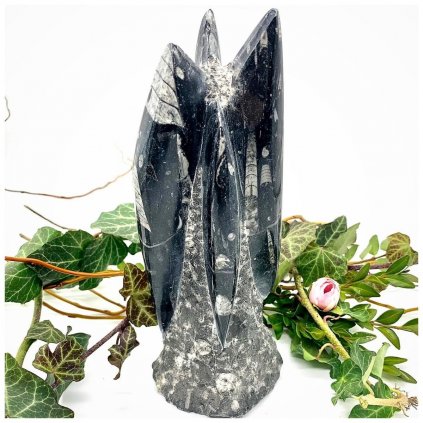 Věžička orthoceras I