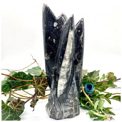 Věžička orthoceras II