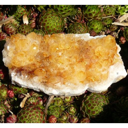 Citrínová drúza  II