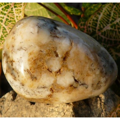 Opál dentritický I