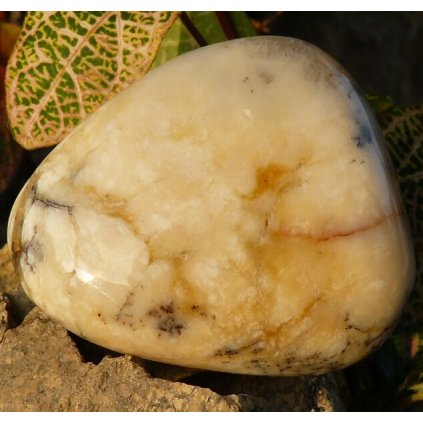 Opál dentritický II