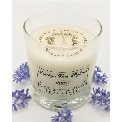 Přírodní vonná svíčka sójová- Meduňka