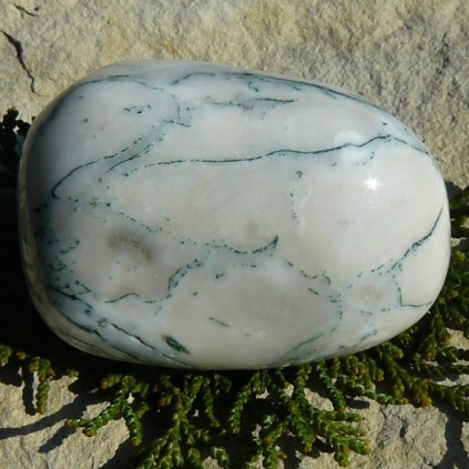 Troml XXL achat stromeckovy 1