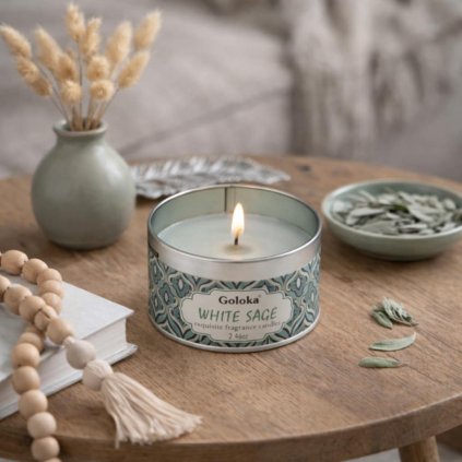 a6b70578 e102 44e3 ba34 fd33e253b453