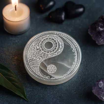 9bd6c1c3 9b48 42e8 9734 74f797dbcc53