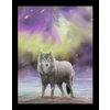 Leinwand Aura Wolf 1280x1280