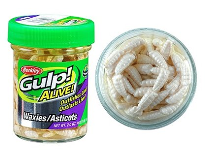 Gulp Alive Waxies - kostný červ.