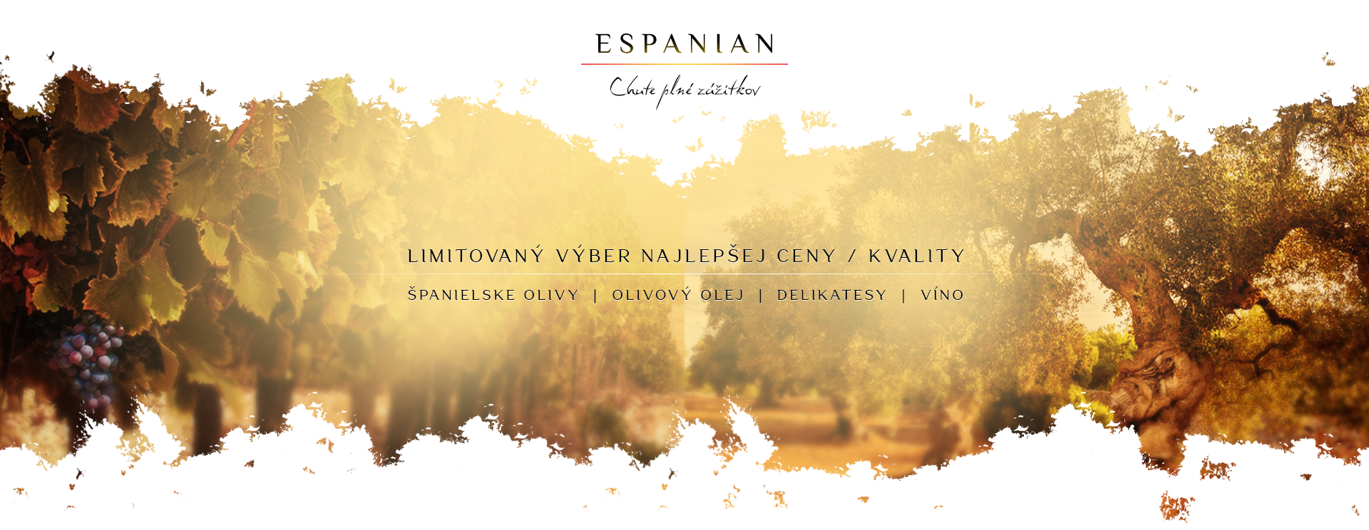 HOMEPAGE BANNER