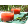 Espanian Tip na servirovanie Gazpacho Biosabor 2