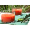 Espanian Tip na servirovanie Gazpacho Biosabor 2