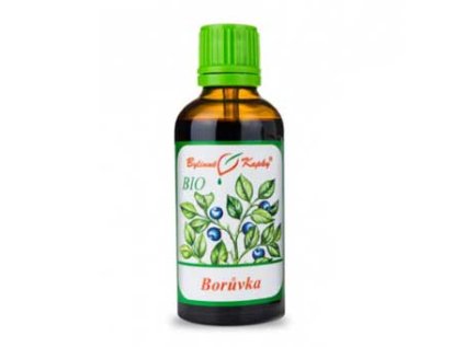 boruvka bio tinktura