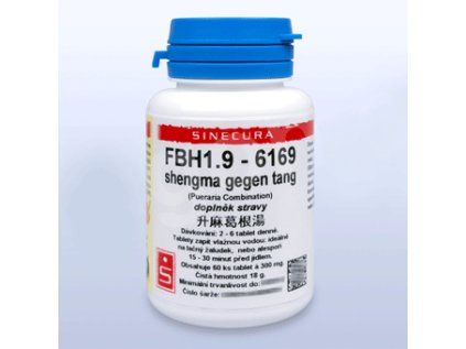 FBH1 9 shengma