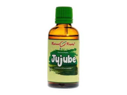 jujube cicimek tinktura