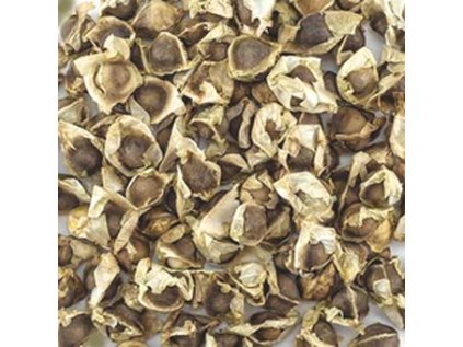 18212 seminka moringy 10g