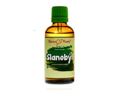slanobyl tinktura
