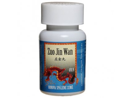 19622 015 100 obnova spalene zeme zuo jin wan