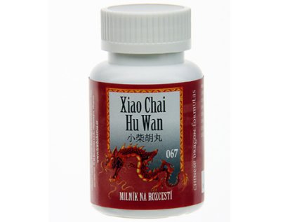 20957 067 100 milnik na rozcesti xiao chai hu tang wan