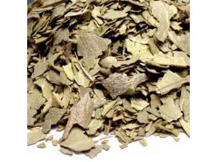 25193 boldovnik vonny list 100g