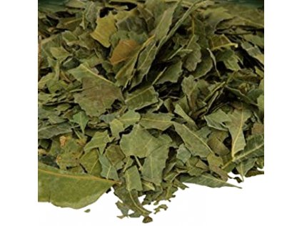27320 neem azadirachta indica listy rezane 100g