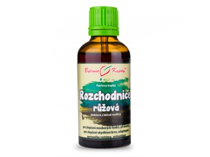 rozchodnice ruzova tinktura