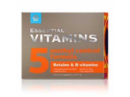 Betaine B vitamins
