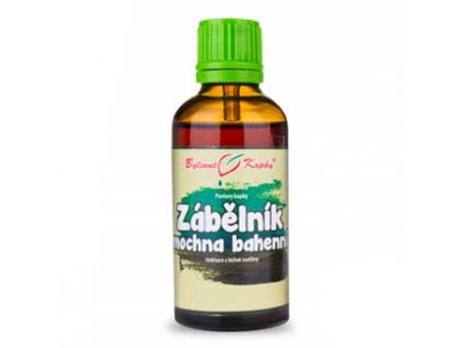 zabelnik mochna bahenni