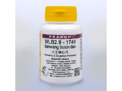 WLB 2 9
