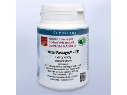 cesty vody T81