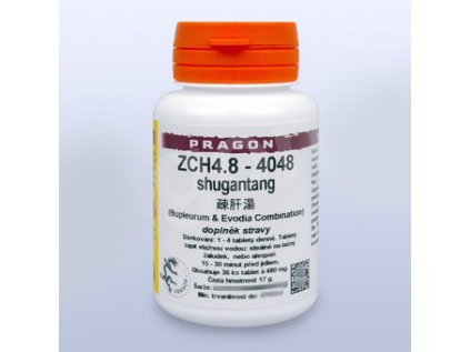 ZCH4 8
