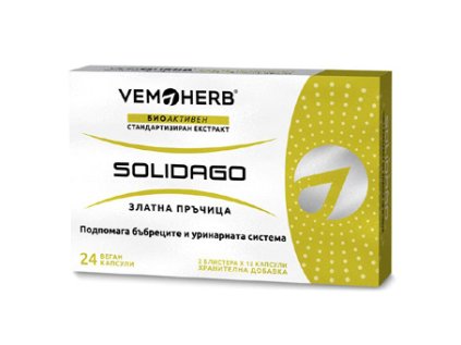 Solidago zlatobyl
