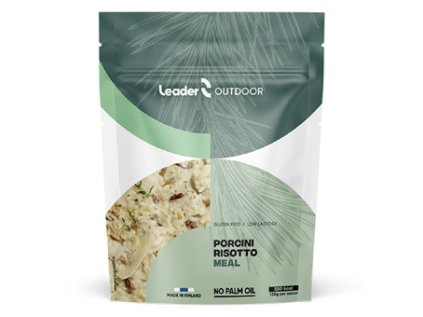 Porcini Risotto