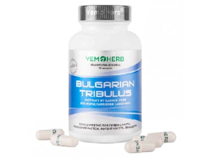 tribulus bulharsky