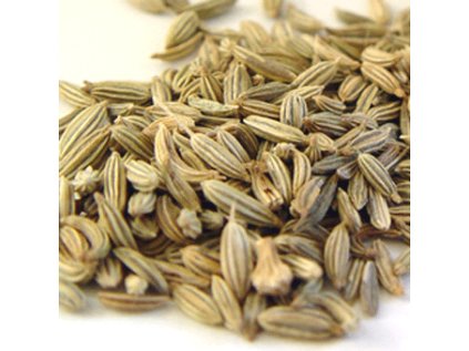 6740 anyz plod 100 g