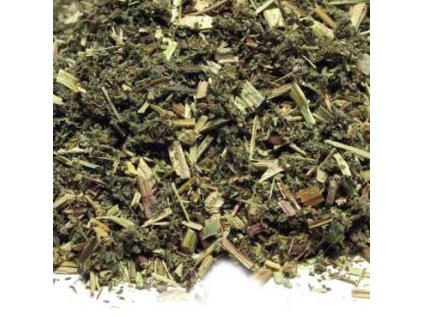 6905 tuzebnik jilmovy filipendula ulmaria nat 100g