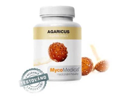 Agaricus zampion