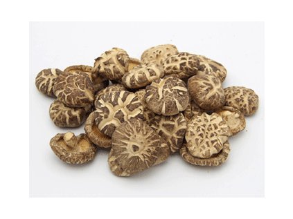 shiitake houby