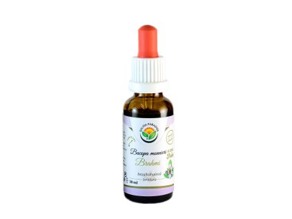Bacopa monnieri - Brahmi AF tinktura (Balení 50 ml)