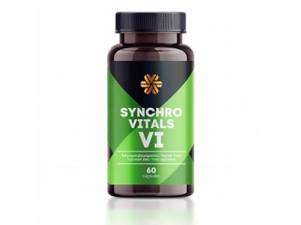 SynchroVitals VI