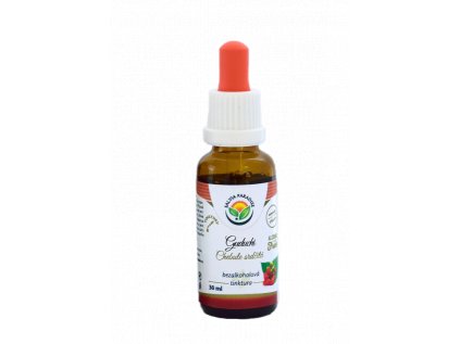 Guduchi - Chebule srdčitá AF tinktura (Balení 50 ml)