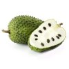 soursop graviola plod