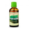 prorostlik tinktura